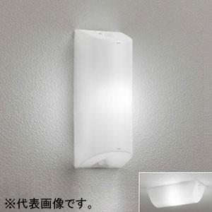 オーデリック LEDポーチライト 防雨型 壁面・天井面取付兼用