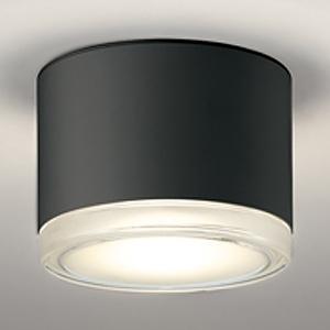 オーデリック LED非常用照明器具・誘導灯器具 防雨型 壁面・天井面取付兼用 電球色 ねじ込式 ブラ...