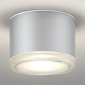 オーデリック LED非常用照明器具・誘導灯器具 防雨型 壁面・天井面取付兼用 電球色 ねじ込式 マッ...