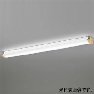 オーデリック FLR40W×2灯相当 昼白色 壁面・天井面・傾斜面取付兼用 OL291029R2B