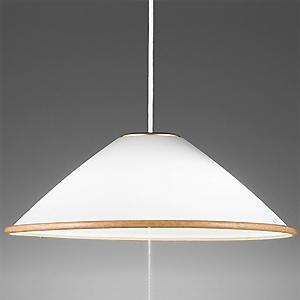 オーデリック LEDペンダントライト 白熱灯器具100W×2灯相当 LED電球ボール球形 2灯 口金...