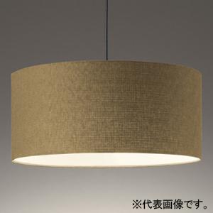 Panasonic（パナソニック） ペンダントライト グリーン アルミセード