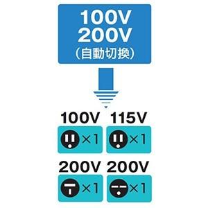 ハタヤ 電圧変換器 トランスル 昇降圧兼用型 ...の詳細画像1