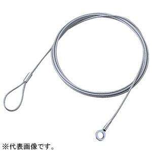 ELECOM ワイヤー 太さ2.2mm×長さ5m ESL-W5022