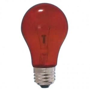 アサヒ（asahi） 白熱電球 110V 40W ホワイト E26口金 LW110V40W55
