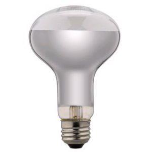 Panasonic（パナソニック） 水銀灯用安定器 （200V用 一般形 1灯用 高