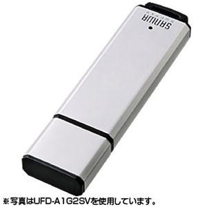 サンワサプライ USB2.0メモリ 8GB ネックストラップ付 シルバー UFD-A8G2SVK