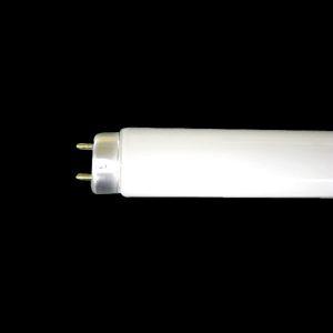 NEC ポイント2倍 ホタルクス（旧NEC)) 25本入 FL10D ライフライン