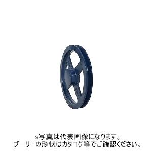 50-A-1　JIS Vプーリー　鍋屋バイテック（NBK）
