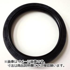 TC30428　オイルシール（ダブルリップ・外周ゴム）　部品番号：AE1666-F0　NOK