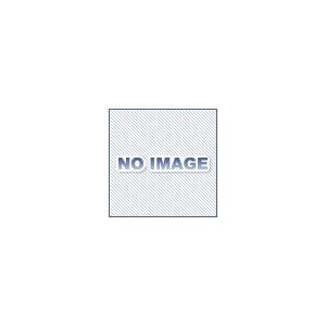 イマオコーポレーション CAE3-125FBF キャスタ(E3シリーズ)｜dendouki2