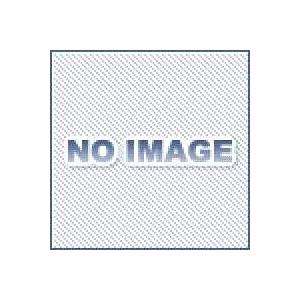 KHK 小原歯車工業 AG1.5-30R2J17 ウォームホイール Jシリーズ