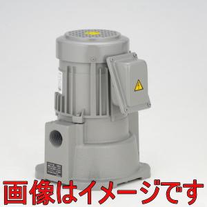 テラル多久 （旧 三菱電機） NPJ-60G 三相200V クーラントポンプ（自吸形流量タイプ）｜dendouki2