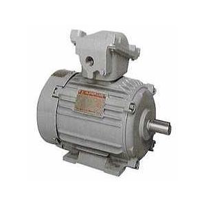 三菱（MITSUBISHI） 三菱電機 XF-E 18.5KW 4P 200V モータ XF-E 