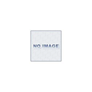スガツネ工業 SL-RU2-100-WLR-BL LEDスリムライト : 伝動機 スガツネ工業 SL-RU2-100-WLR-BL LEDスリムライト : 伝動機