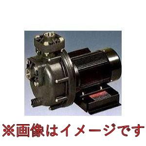 SANSO サンソー　三相　マグネットポンプ　PMD-641B2P 三相電機(SANSO) PMD-641B2P マグネットポンプ 単相100V