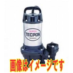 寺田ポンプ 水中ポンプ PG-250 (単相100V/0.25kW/非自動型