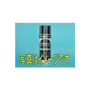 オーデック 簡易黒染スプレー ブラックシール 420ML
