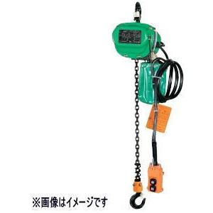 ΦΦHITACHI 日立 電動ホイスト　チェーンブロック 1/4EH1 グリーン ΦΦHITACHI 日立 電動ホイスト チェーンブロック 1/4EH1 グリーン