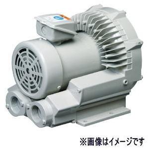 日立（HITACHI） 日立産機システム VB-022-G2 三相200V ボルテックス