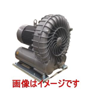 日立産機システム VBW-090 三相200V ボルテックスブロワ Eシリーズ 高風圧 2段形｜dendouki