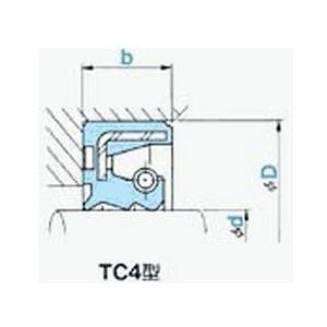 NOK オイルシール TC4 8187 (AR0145F2) TC4型｜dendouki