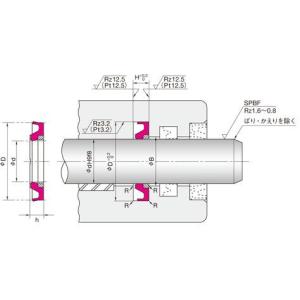 NOK パッキン HBY5065.56 (FQ0255F4) HBY型 バッファリング｜dendouki