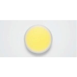 スガツネ工業 LEDライト KB12-LED-BL-WW : 伝動機ドットコム