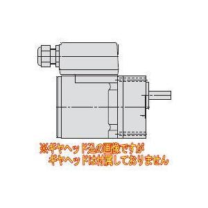 住友重機械工業 A9M60JHL アステロ 三相 インダクションモータ 端子箱付(シールコネクタ式)
