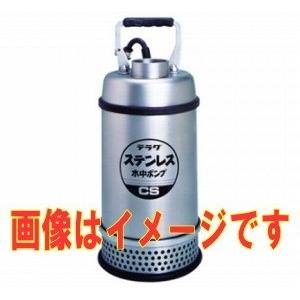 寺田ポンプ製作所 CS-250 単相100V 水中ポンプ 要部ステンレス製 非 