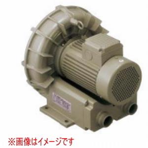 TERAL テラル リングブロワ　オルタネーター 未使用品す TERAL テラル VFZ081A 三相 標準型 リングブロワー : 伝動機ドットコム