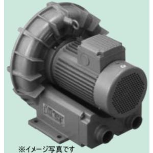 TERAL テラル VFZ081A 三相 標準型 リングブロワー : 伝動機ドットコム