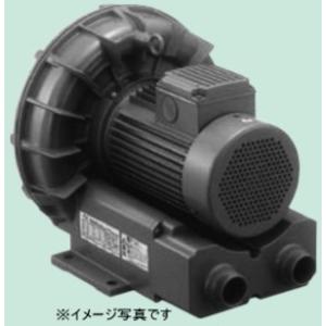 テラル リングブロワ VFZ401A 三相200V 標準形 ブロワー ブロア