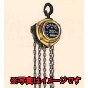 象印チェンブロック HM-25 250kg ホイストマン HM-K2525 : 伝