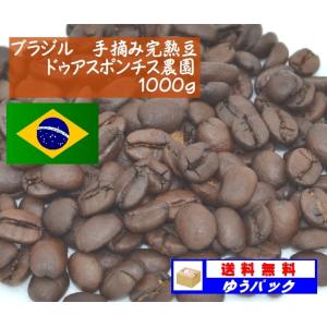 ブラジル　手摘完熟豆　ドゥアスポンチス農園 1000g｜denen-coffee
