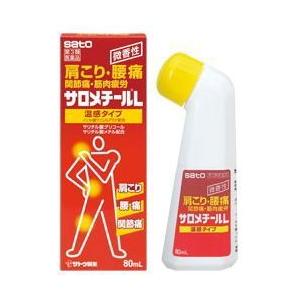 【第3類医薬品】佐藤製薬サロメチールL  ８０ｍｌ　＜５１＞｜denergy2