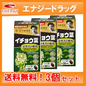 野口医学研究所 イチョウ葉 （510mg×60粒）約30日分×3個セット　栄養補助食品 記憶力・集中...