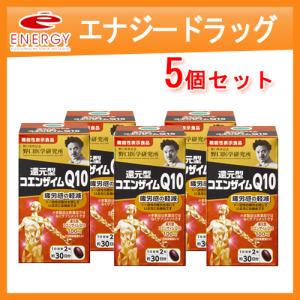 野口医学研究所 株式会社野口医学研究所 還元型コエンザイムQ10 60粒