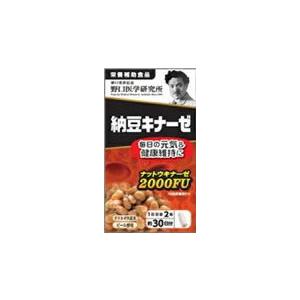 ポイント10倍】◇野口医学研究所 納豆キナーゼEX 90粒 : サンドラッグe