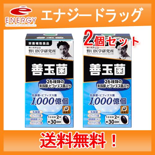 【野口医学研究所】善玉菌 (500mg×60粒)約30日分【栄養補助食品】送料無料・2個セット