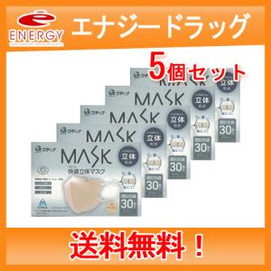 【グディナ】【送料無料・5個セット】グディナ MASK 快適立体マスク 30枚入り【個別包装】 ふつうサイズ ベージュ｜denergy2