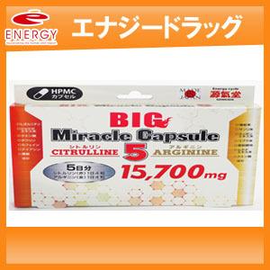 【ライフサポート株式会社】源気堂 BIG Miracle Capsule 5