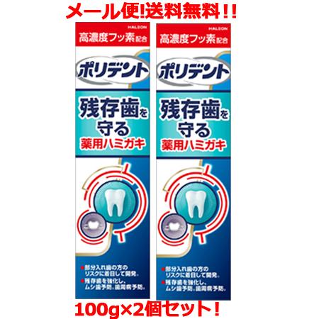【メール便！送料無料！2個セット】ポリデント デンタルラボ 薬用ハミガキ 100g×2個セット【医薬...