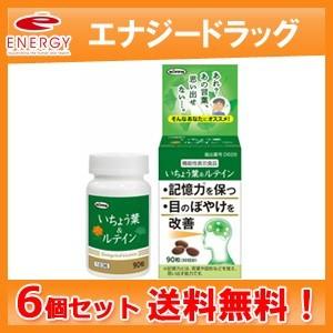 nippn（ニップン） いちょう葉＆ルテイン 90粒（約30日分） 機能性表示 