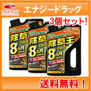期限切迫2024年4月【フマキラー】 カダン 除草王 シャワー S 2L 1個×3