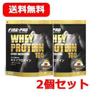 【送料無料】ファイン ファインプロ ホエイプロテイン100  1.1kg カスタードプリン風味　プロテイン 2個セット｜denergy2