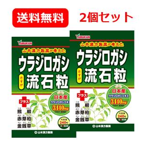 【送料無料！2個セット】【山本漢方】ウラジロガシ　流石粒（さすが粒） 240粒×2個　うらじろがし