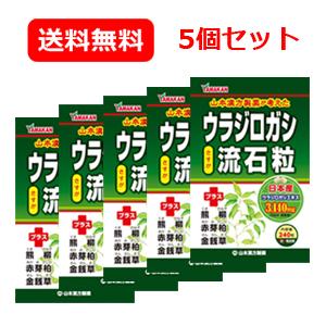 【送料無料！5個セット】【山本漢方】ウラジロガシ　流石粒（さすが粒） 240粒×5個　うらじろがし