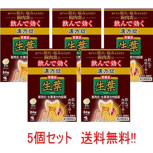 【第2類医薬品】【送料無料・5個セット】生葉漢方錠 84錠×5セット　【小林製薬】