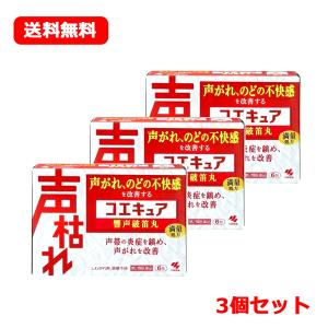 【第2類医薬品】小林製薬 コエキュア 6包×3個セット 乾燥 声がれ のどの不快感 顆粒タイプ メール便 送料無料　響声破笛丸　きょうせいはてきがん｜denergy2